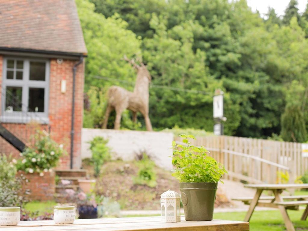 The Roebuck Inn Shedfield Экстерьер фото